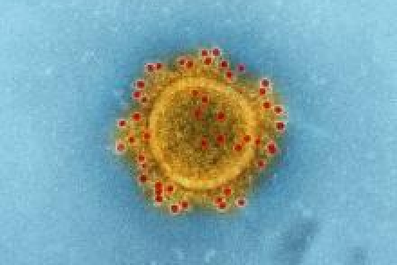 Image of Covid virus under the microscope with blue background